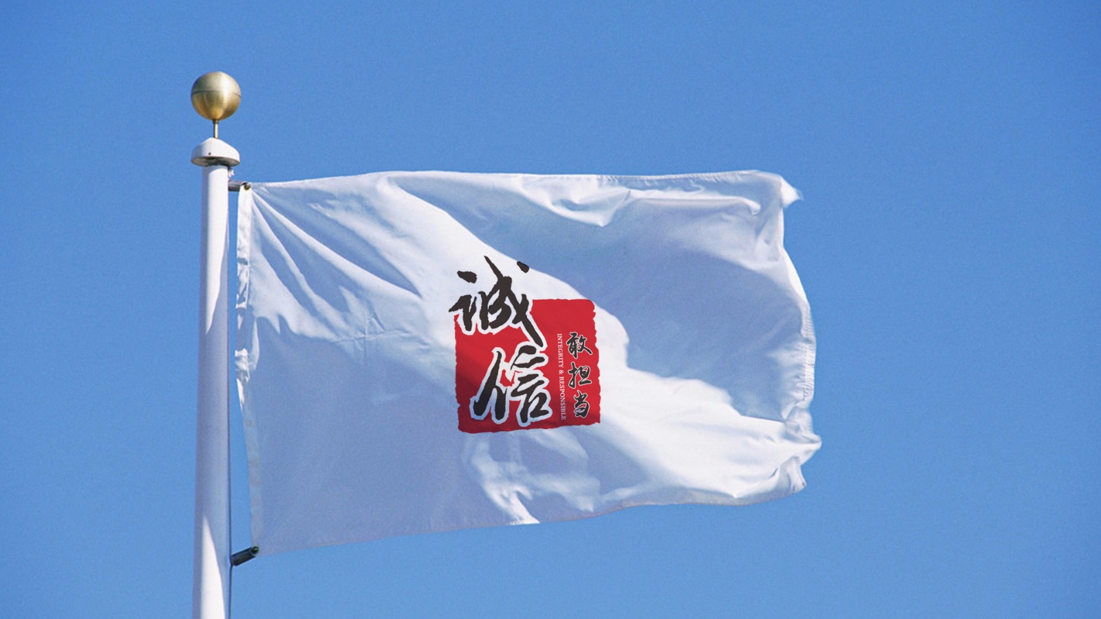 中建華北LOGO設(shè)計