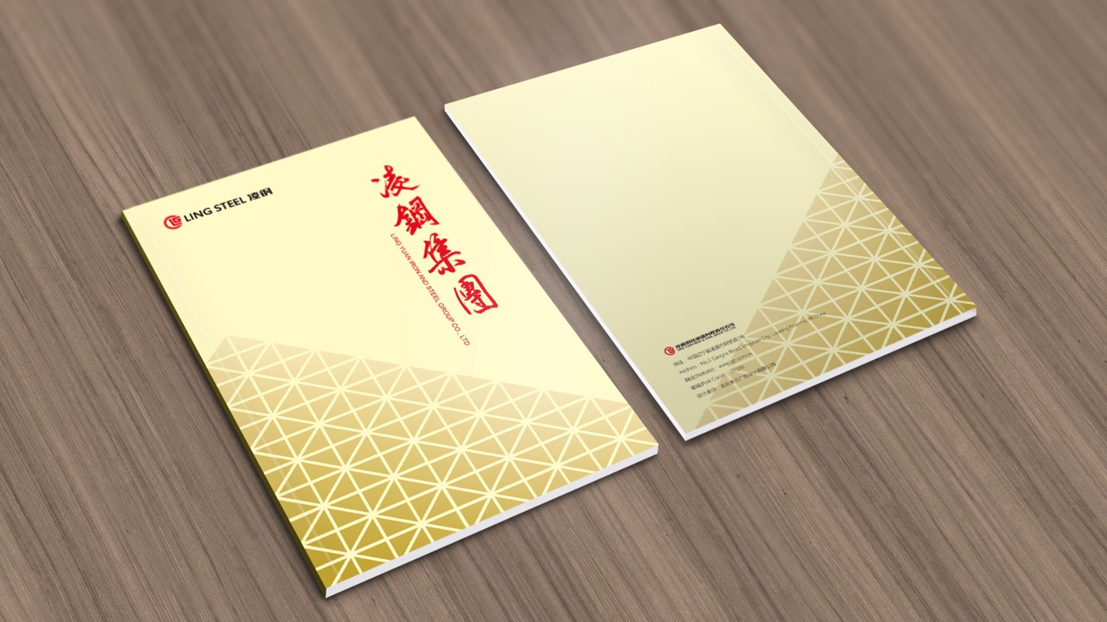 凌源鋼鐵50周年平面畫(huà)冊(cè)設(shè)計(jì)